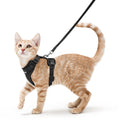 rabbitgoo Cat Harness and Leash Set, Escape Proof Vest, Black
