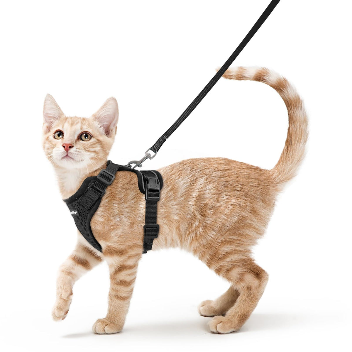 rabbitgoo Cat Harness and Leash Set, Escape Proof Vest, Black