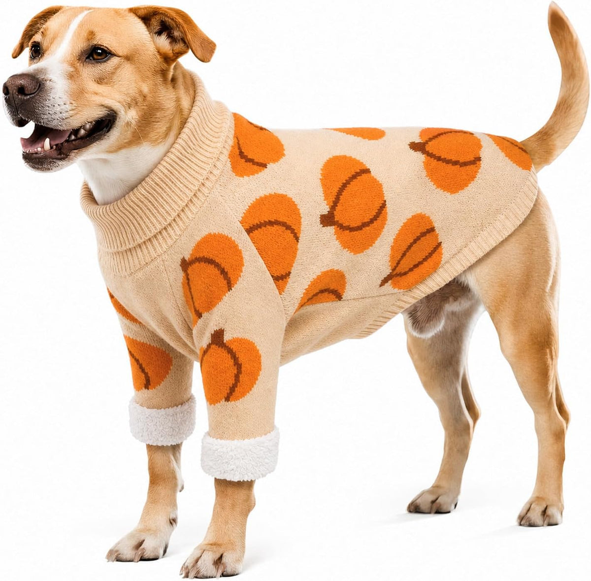 Dog Halloween Costumes Pumpkin Dog Sweater, Fall Sweaters (2XL)