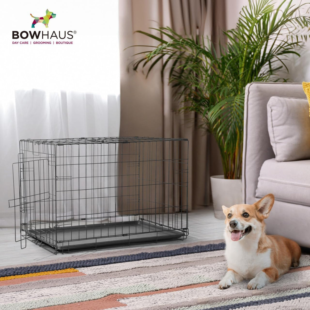 BOWHAUS 22.7-Inch Dog Crate Pan Replacement, Sturdy, Waterproof Plastic Tray for 24-Inch Pet, Rabbit Ferret Critter Kenn