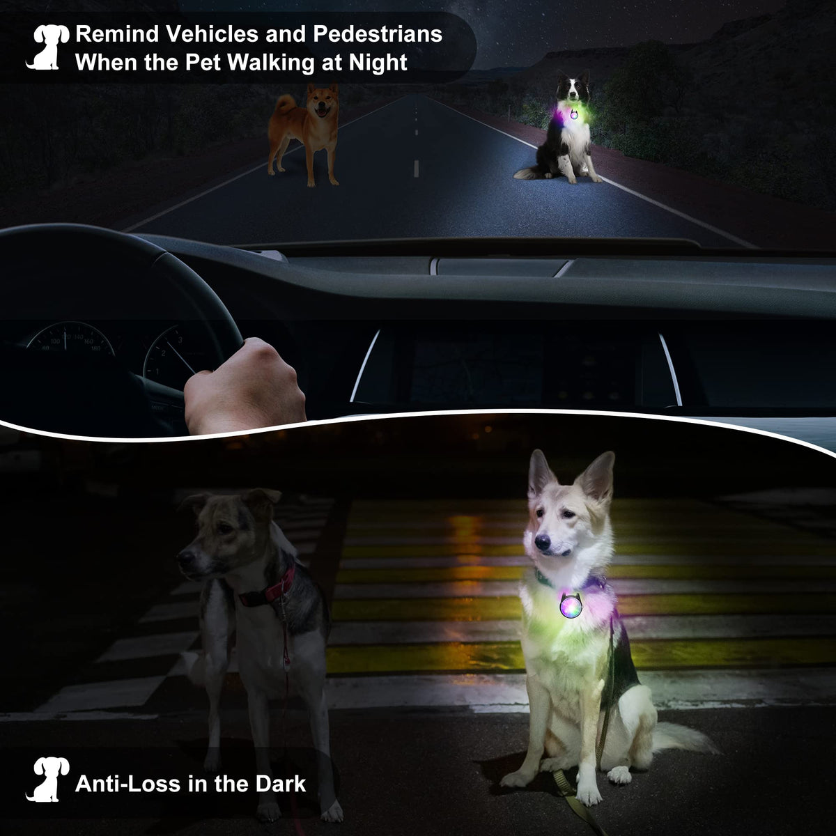 Dog Collar Light, 4 Modes Dog Lights for Night Walking, Rechargeable LED Pet Collar Light for Nighttime Clip on, IP68 Waterproof Pet Walking Accessories-2 Pack(Black)