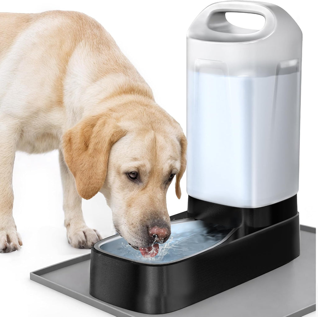 PETNF 2.4 Gallon Automatic Dog Water Bowl Dispenser with Filter