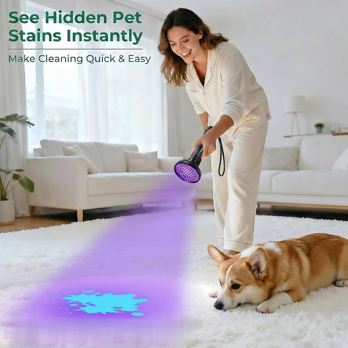 UV Flashlight Black Light, 100 LED 395 nM Ultraviolet Flashlights UV Blacklight Detector for Dog Urine, Pet Stains