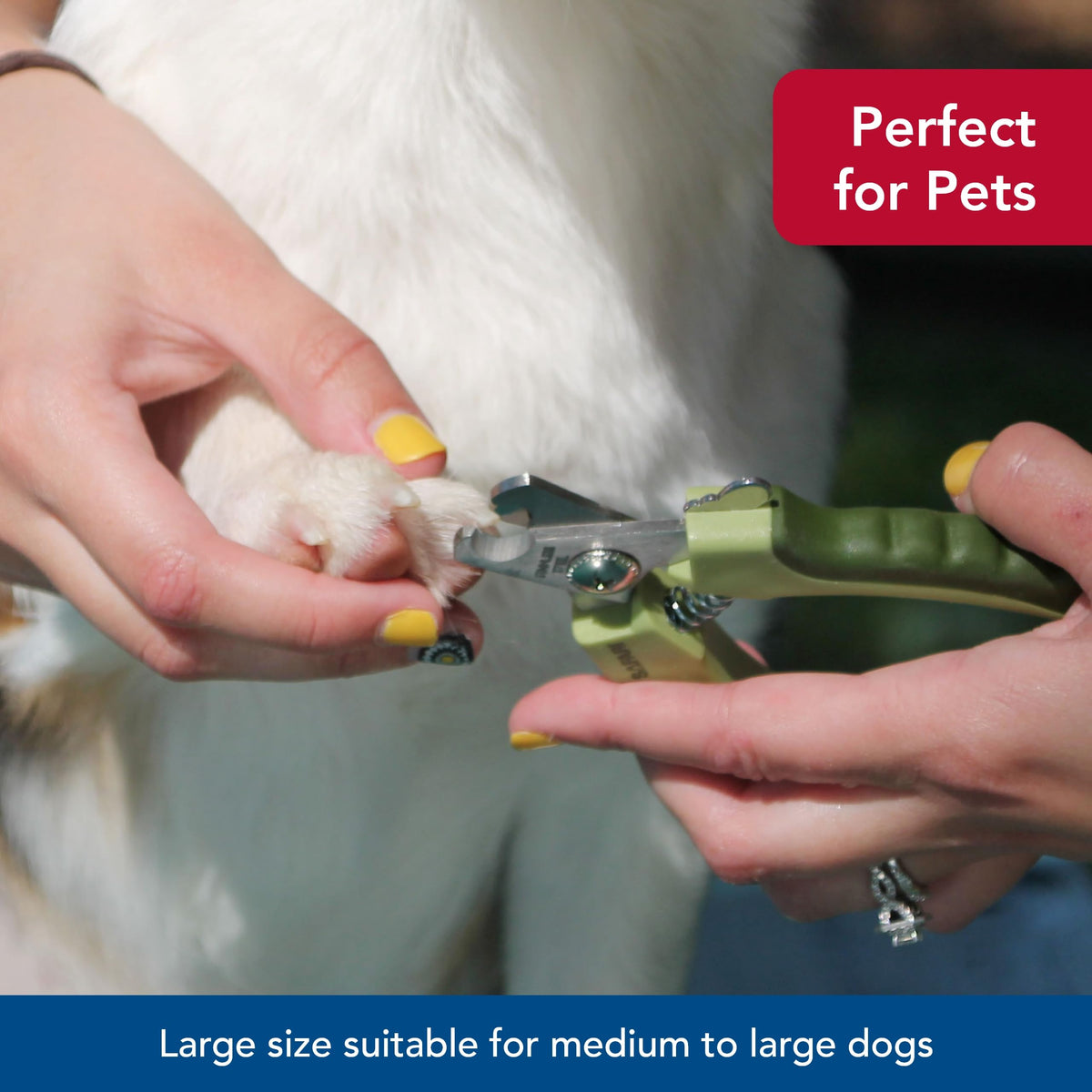 Coastal Pet Safari Professional Dog Nail Trimmer, Standard, 5" x 1.5"