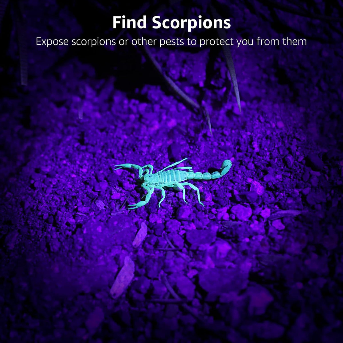 Lepro 51 LED Handheld UV Blacklight, 395nm, Pet Urine Detector
