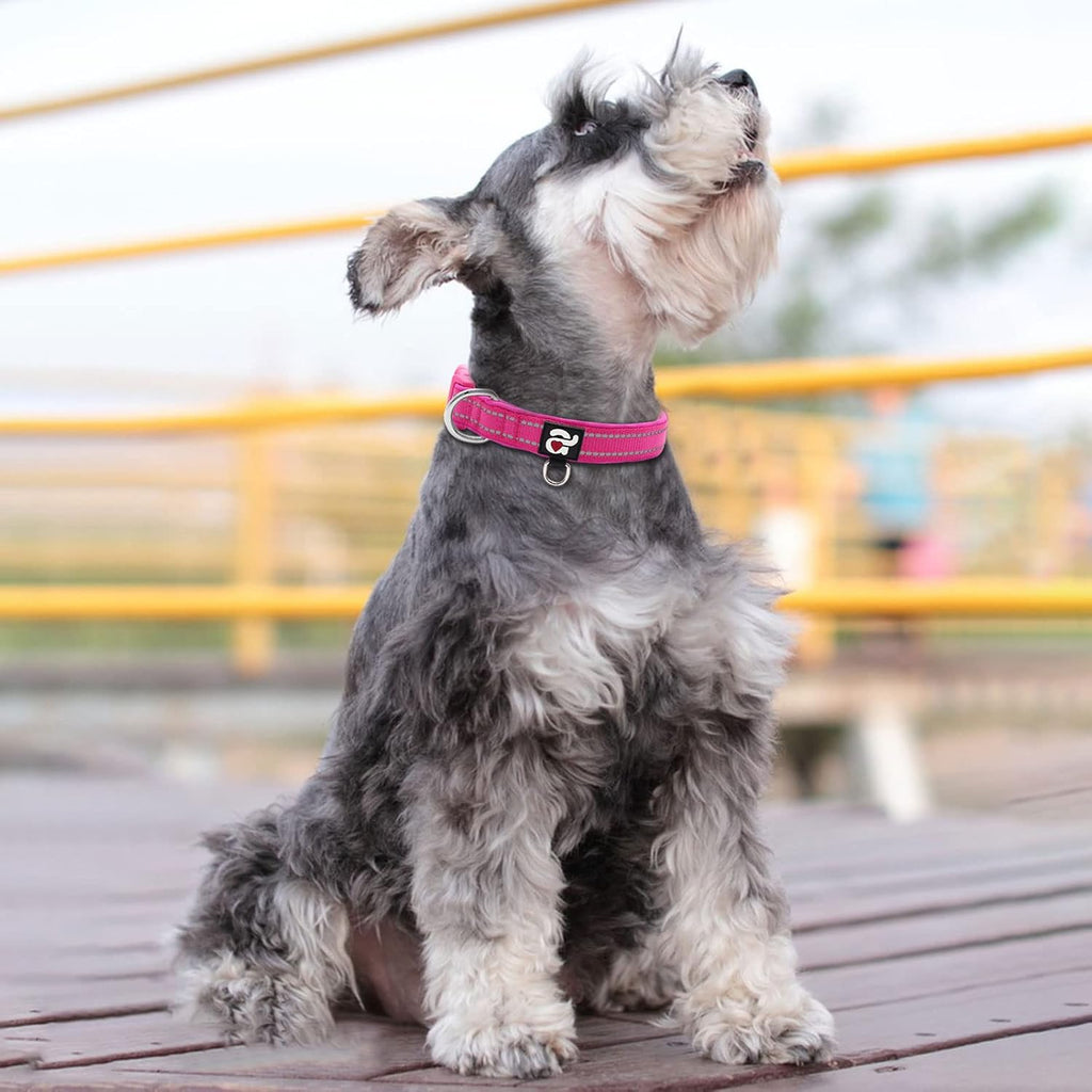 Reflective Dog Collar, Neoprene Padded Small Dog Collar, Hot Pink, S