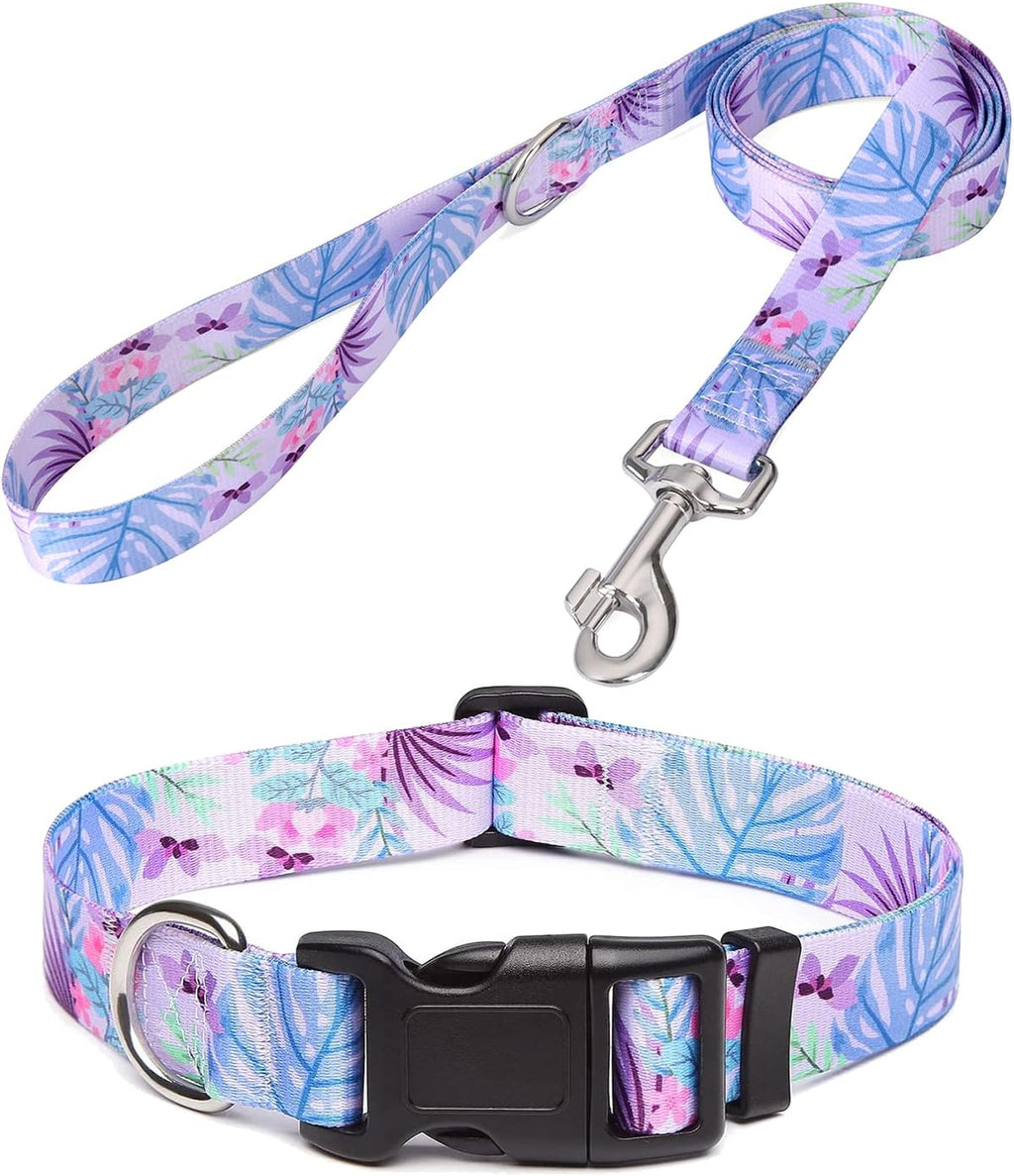 Mihqy Dog Collar for Small Dogs, Fashion Design, Floral Pink,S
