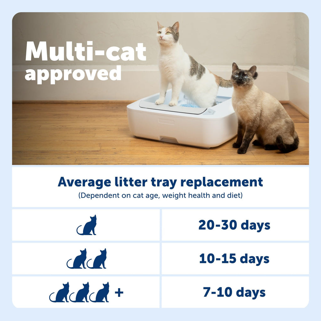 PetSafe ScoopFree Disposable Crystal Litter Tray Refills, Fresh Scent, 3-Pack