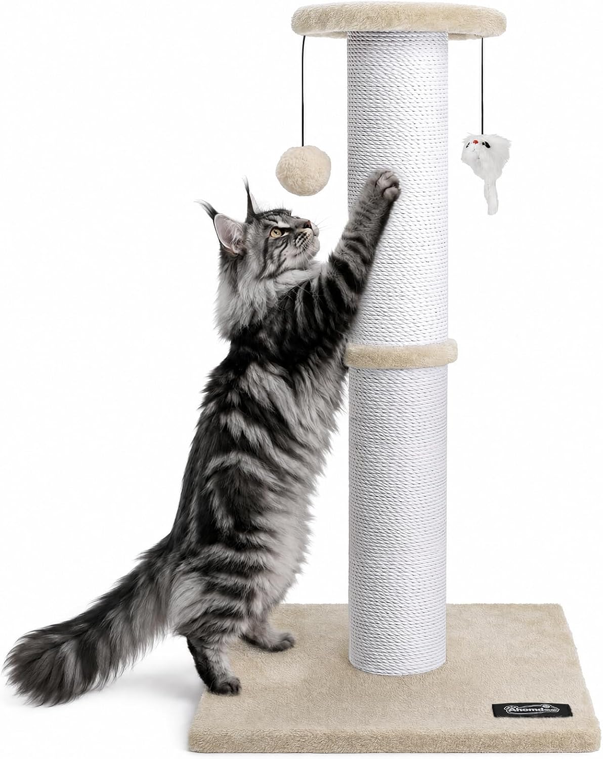 34-Inch Tall Cat Scratching Post for Large Cats, Stable Base, Gray
