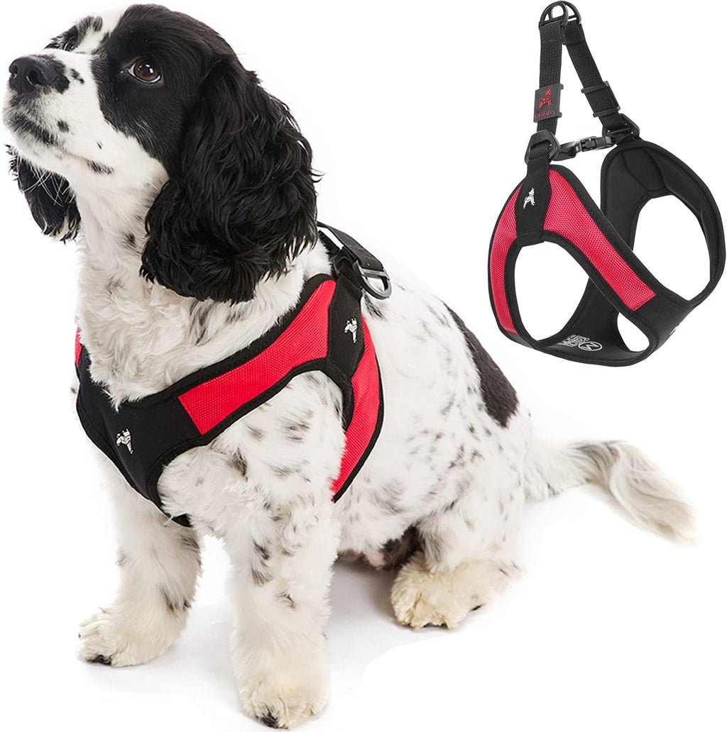 Gooby Escape Free Easy Fit Dog Harness, Step-in, Turquoise, Small