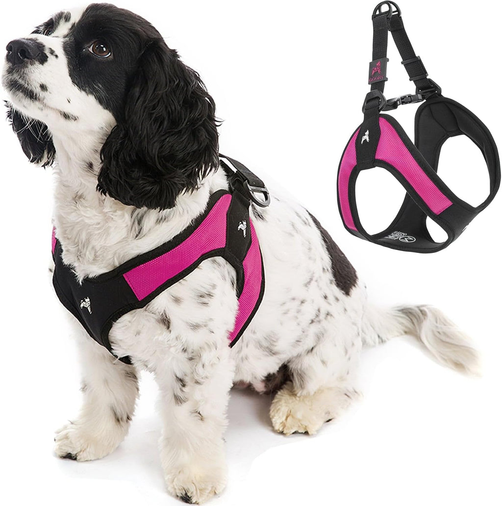 Gooby Escape Free Easy Fit Dog Harness, Step-in, Turquoise, Small