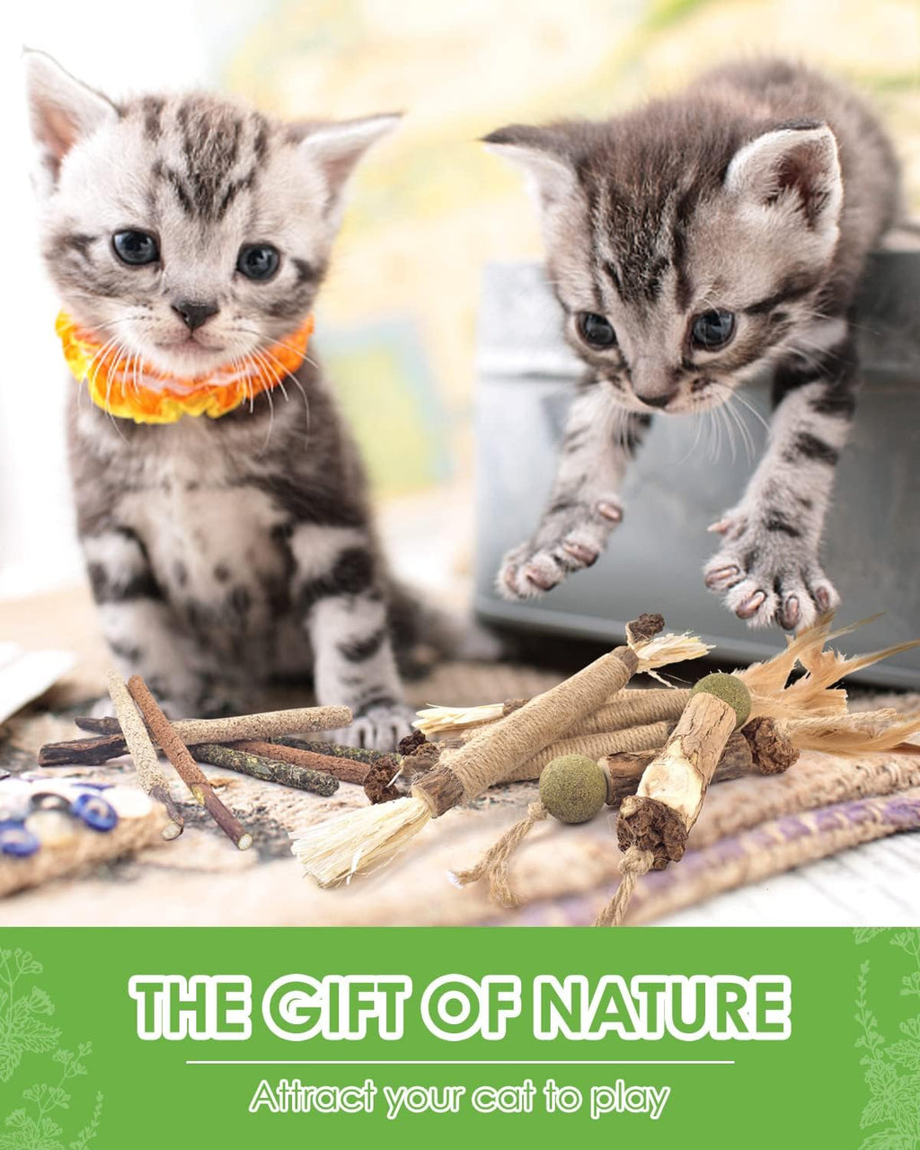 Catnip Chew Toys for Cats, 12 Pack Natural Silvervine Sticks