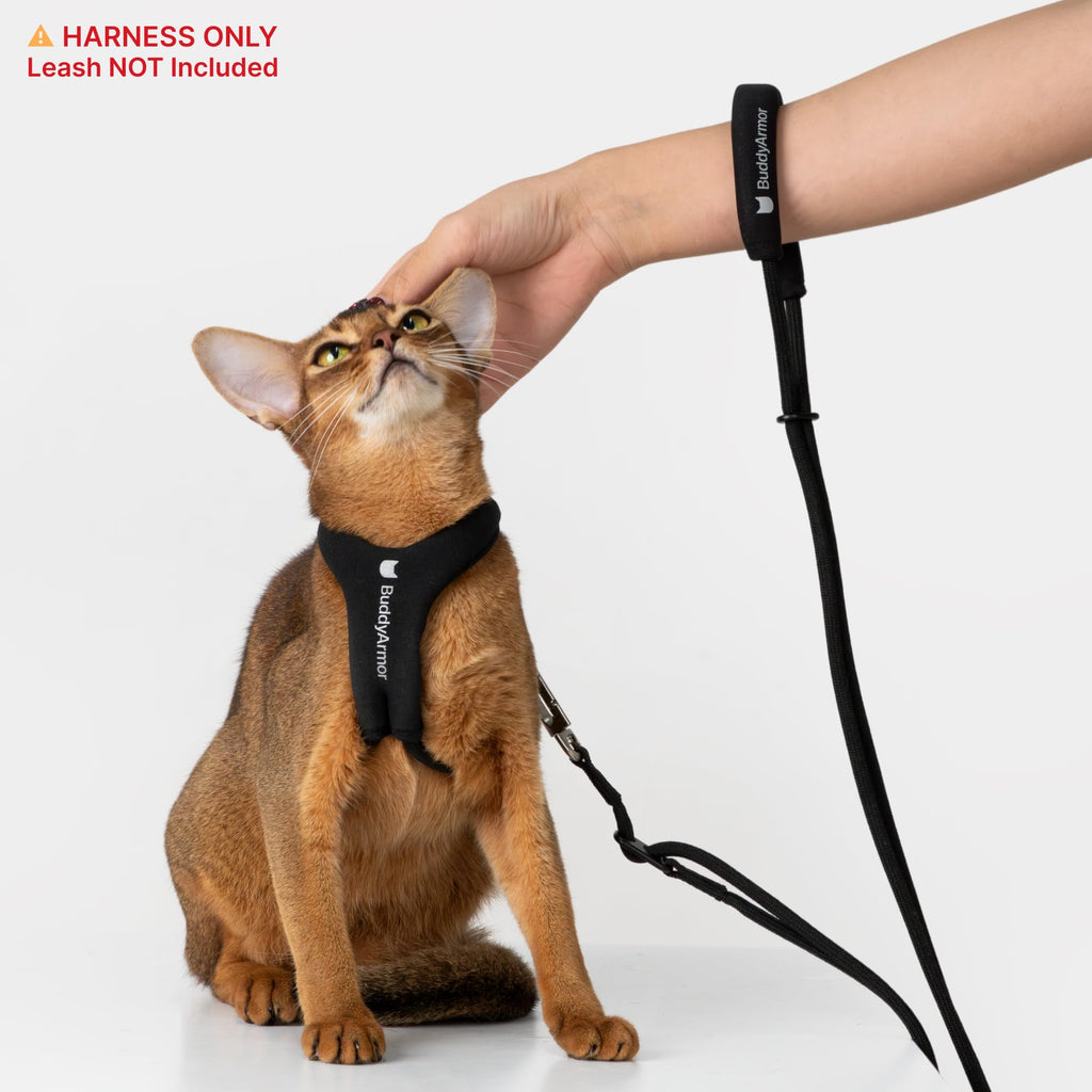 BuddyArmor Escape Proof Y Shape Cat Harness Anti-Choke (Olive, M)