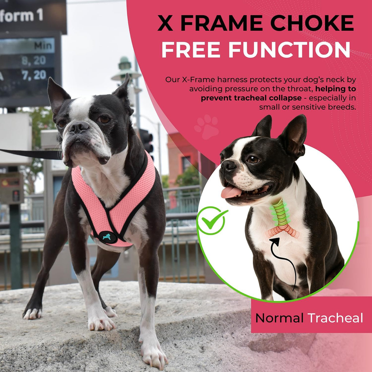 Gooby Comfort X Head-in Dog Harness, Choke-Free, Pink, Medium