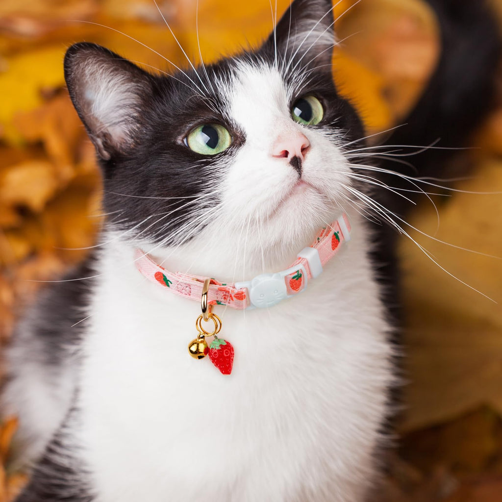 2 Pack Cotton Cat Collar Pink Strawberrie White Heart Cute Kitten Collar