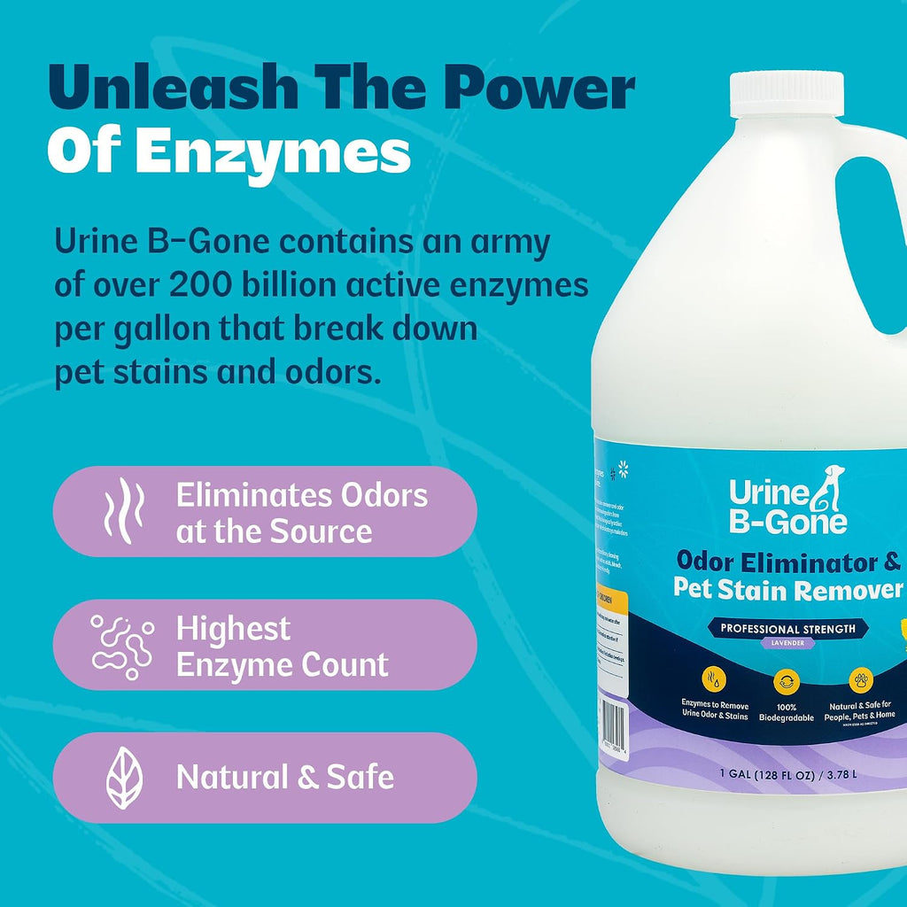 Urine B-Gone Enzyme Cleaner for Human, Cat & Dog Urine, Lavender, 1 Gallon