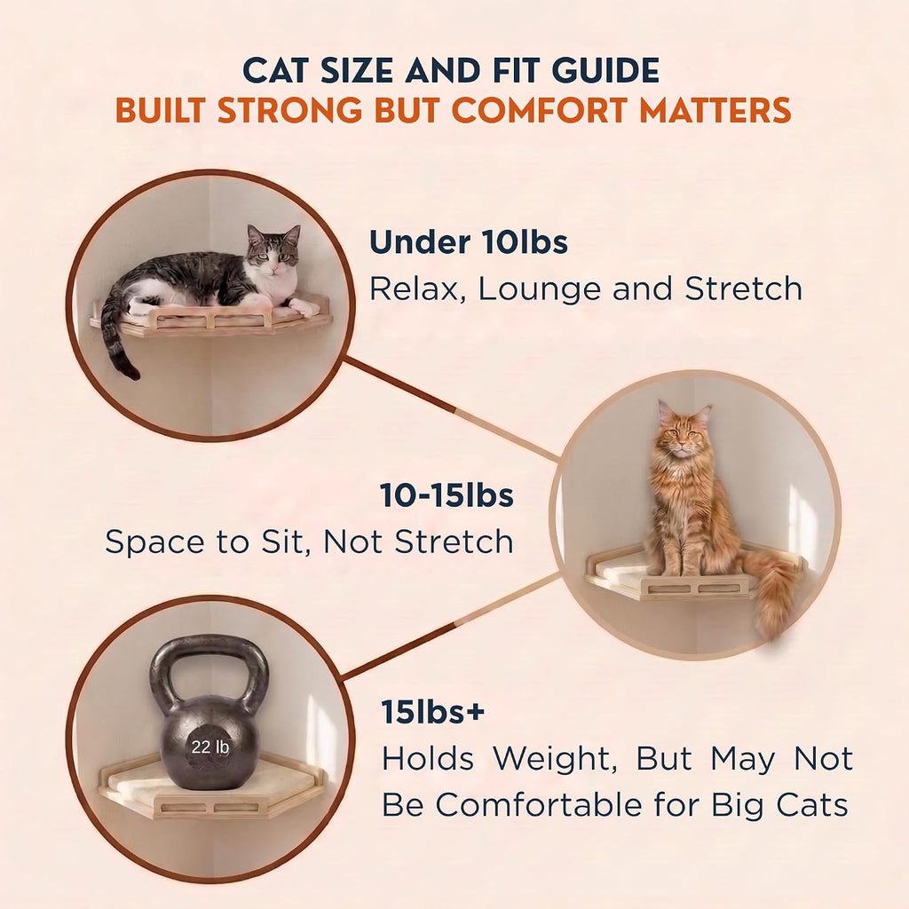 INICIO Cat Wall Shelves and Steps, 4-Piece Wooden Cat Wall Furniture Set