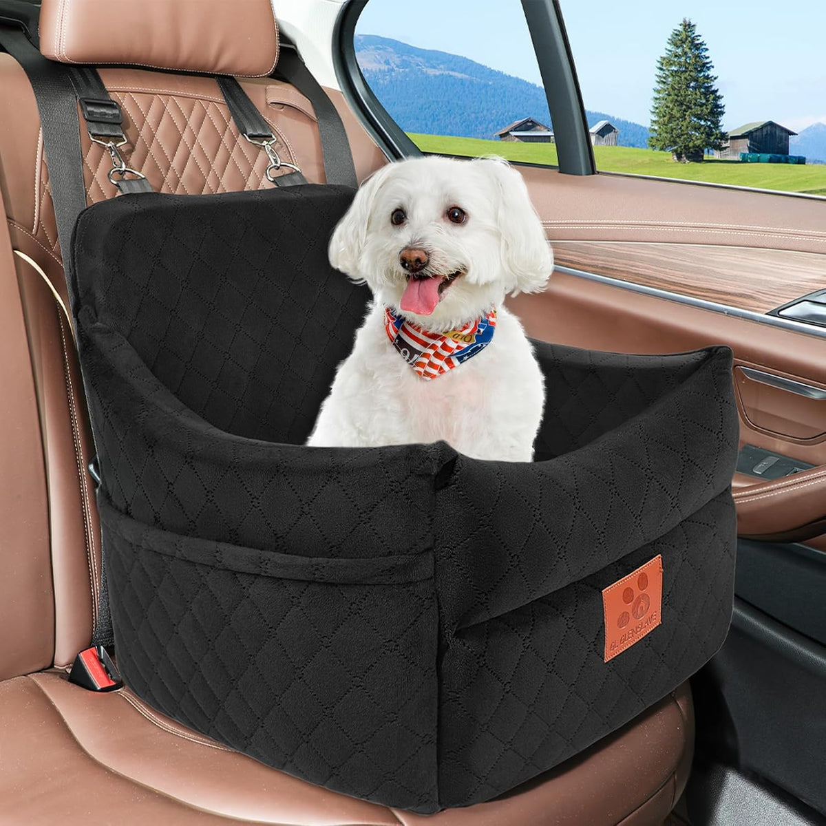 Dog Car Seat for Small/Medium Dogs, Dog Booster Car Seats with Thick Cushion for Dogs Under 35lbs, Detachable Washable P