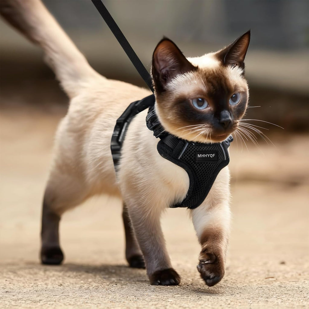 Cat Harness and Leash Set, Adjustable Cat Vest Harnesses