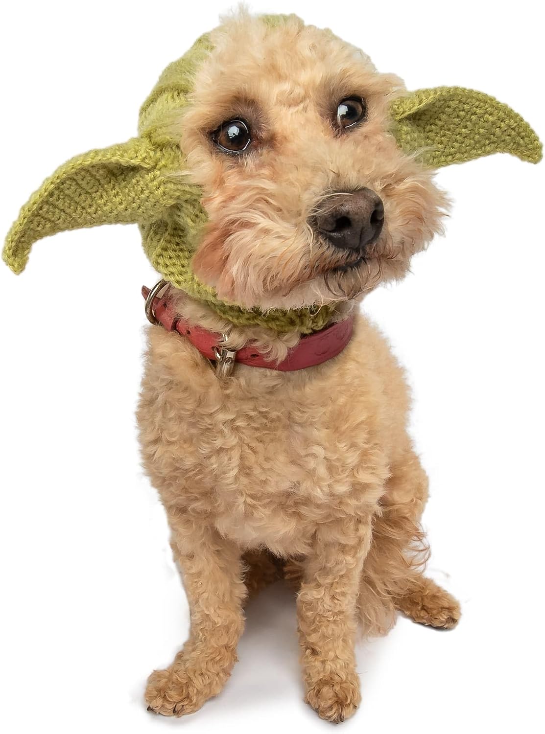 Baby Yoda Costume - Alien Dog Costume (Medium)