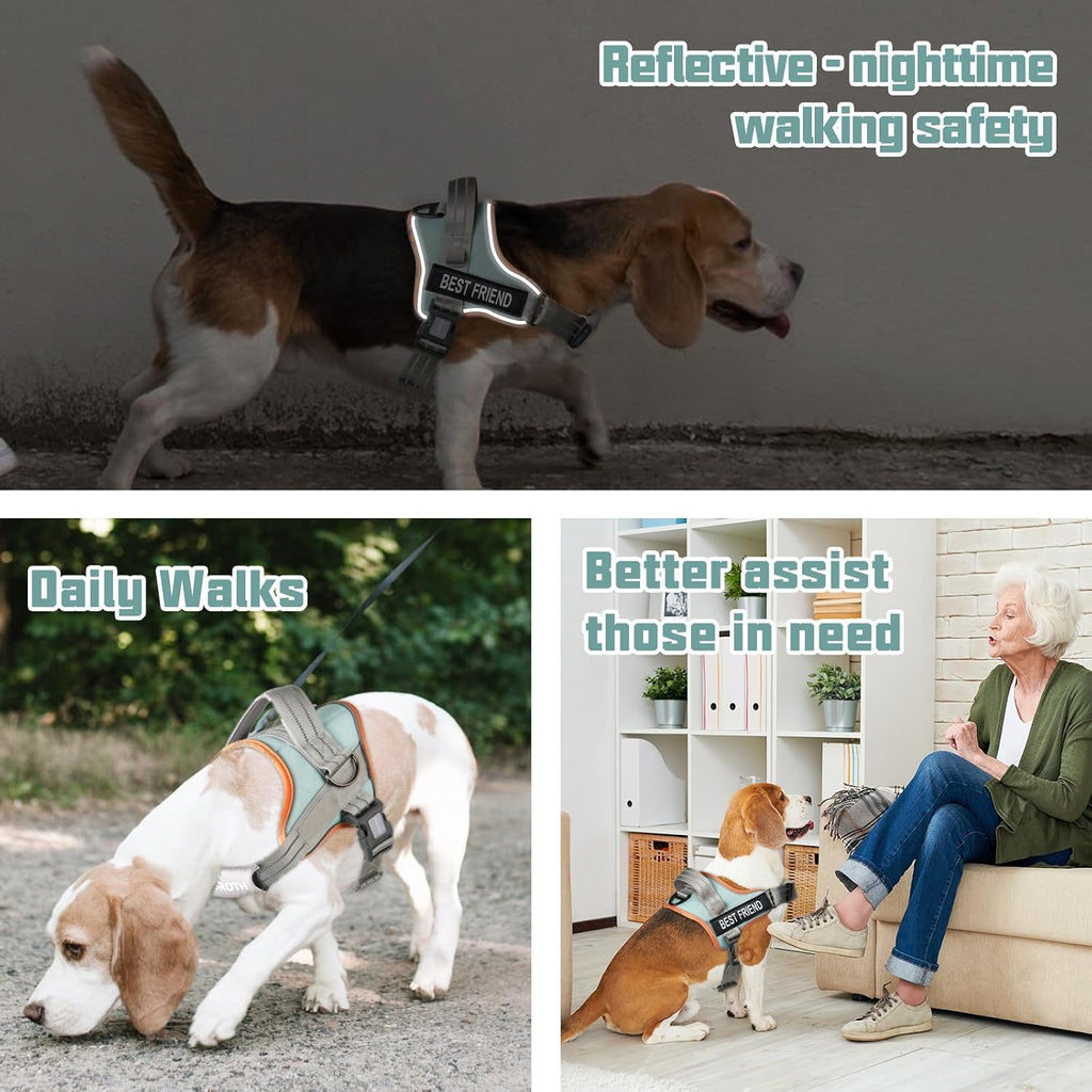 AUROTH Dog Harness for Large Dogs No Pull Tactical Harness and Leash Set