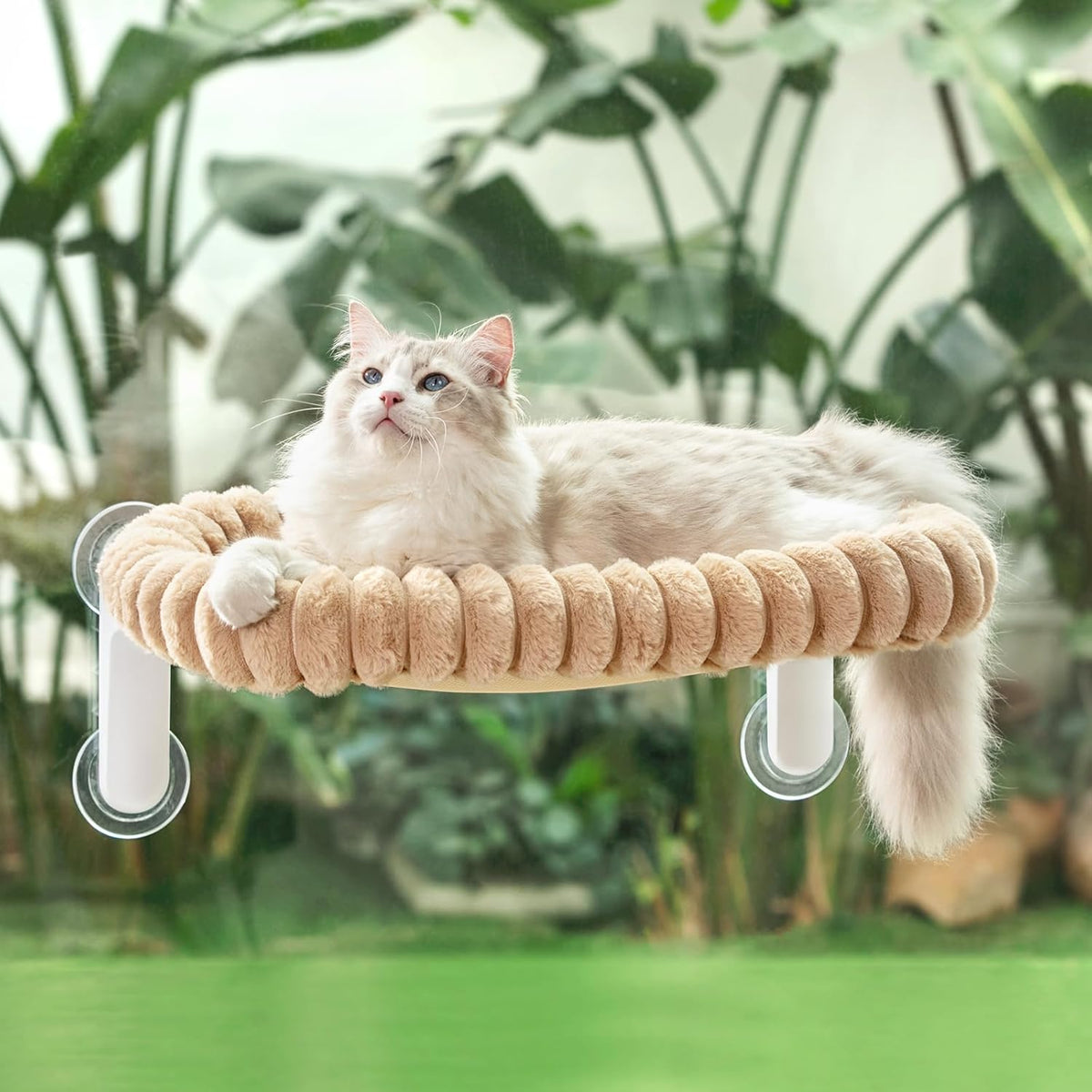 Sunhoo Foldable Cat Window Perch, Large Suction Cup Kitty Hammock, Green