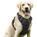 rabbitgoo Dog Harness, No Pull for Large Dogs with 2 Leash Clips, Pet Vest