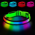 PWOD LED Dog Collar, Light Up Dog Collar,for Night Walking(Large,Green)