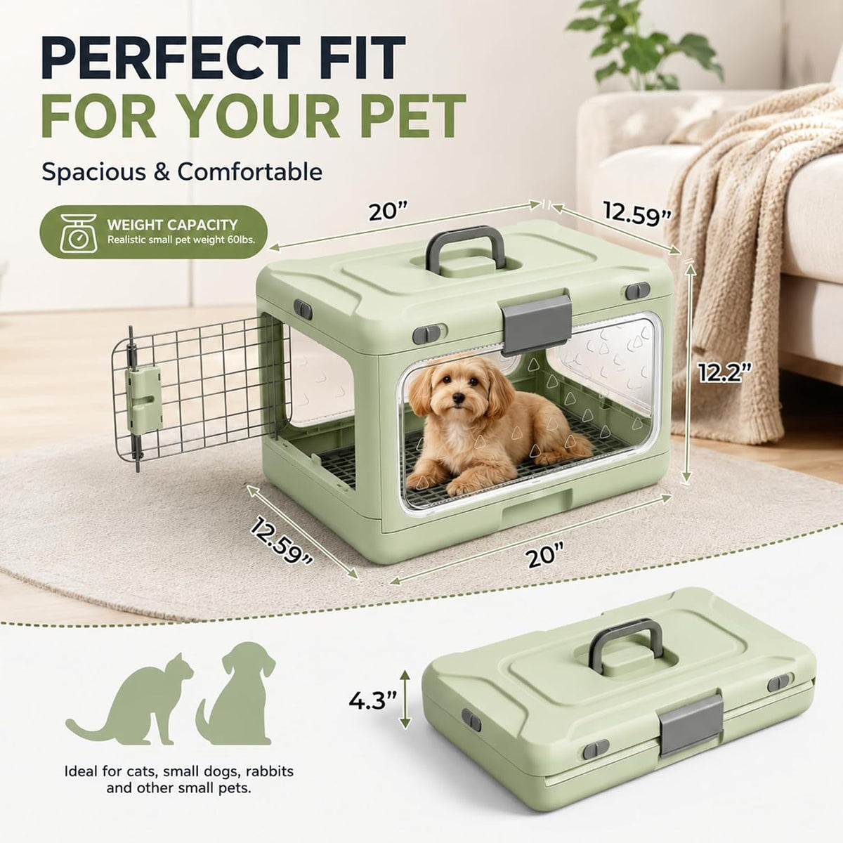 Hard Cat Carrier Foldable,Portable Dog Crate with Ventilation & Raised Separation Meshs Floor,Dog Travel Crate,Collapsib