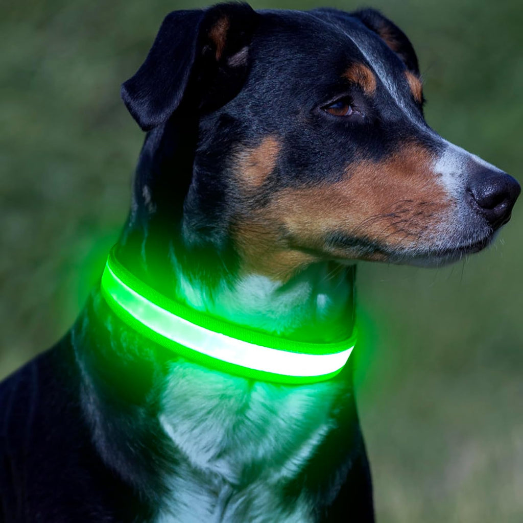 VIZPET LED Dog Collar, Light up Dog Collar Adjustable Safety Glow Collar,L