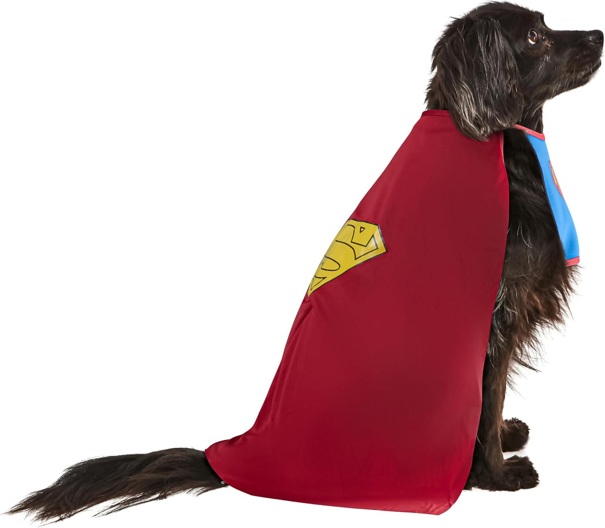 Rubies DC Comics Superheroes: Superman Pet Costume for Dogs or Cats, Medium