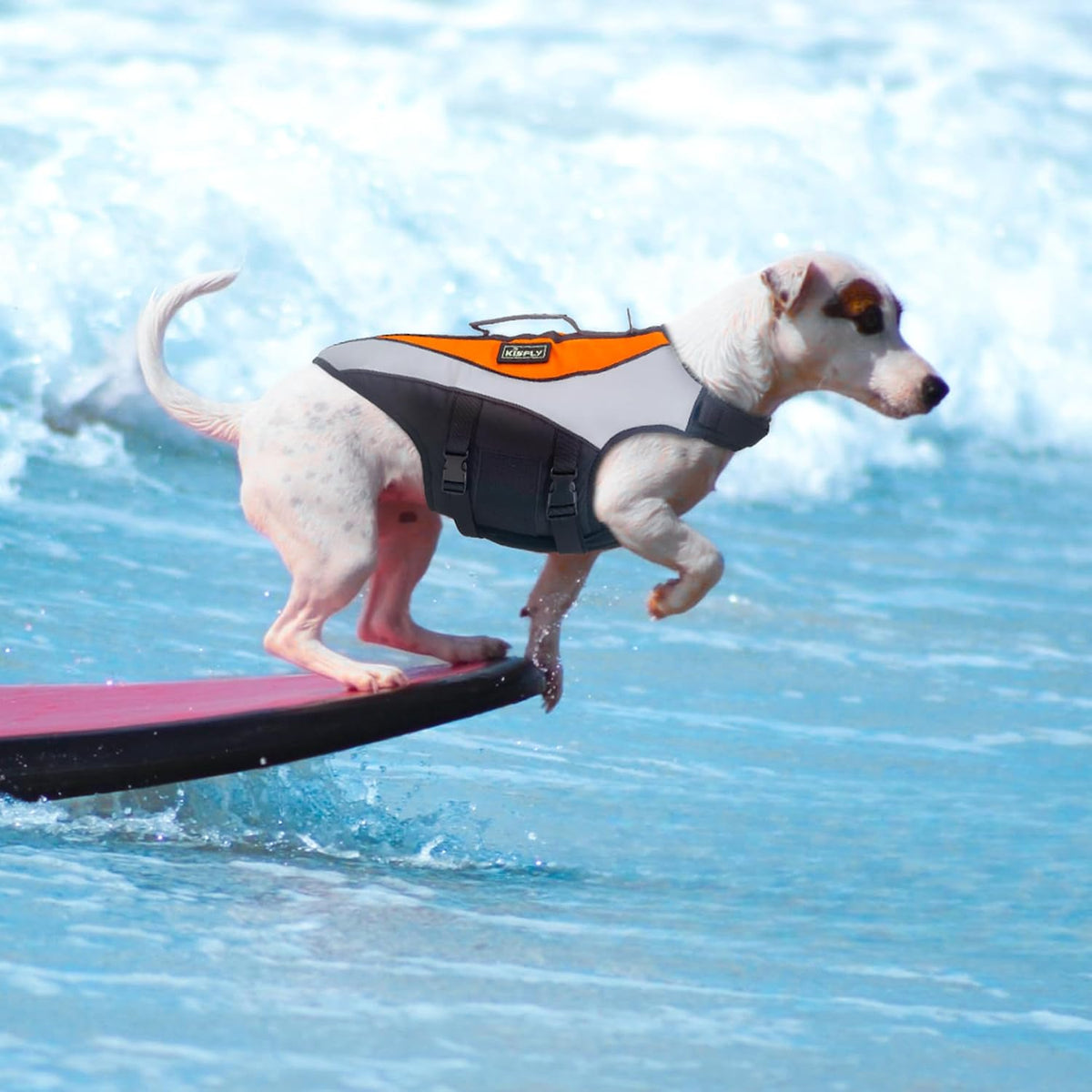 Large Dog Life Jacket XXL, Swimming Vest with Rescue Handle
