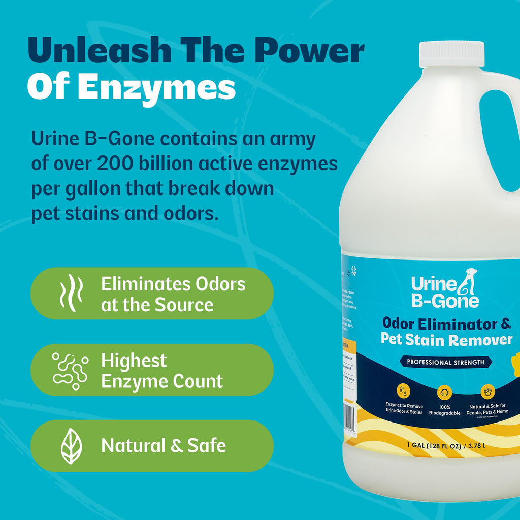 Urine B-Gone Enzyme Cleaner for Human, Cat & Dog Urine, Original, 1 Gallon