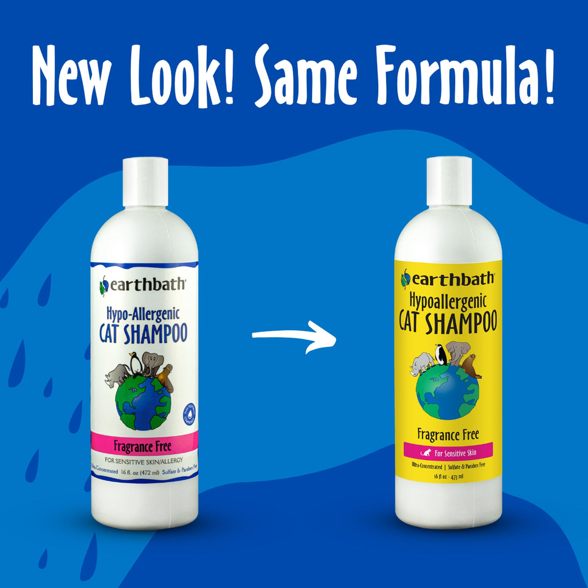 earthbath Hypoallergenic Cat Shampoo, Made in USA, 16 fl oz (1 Pack)