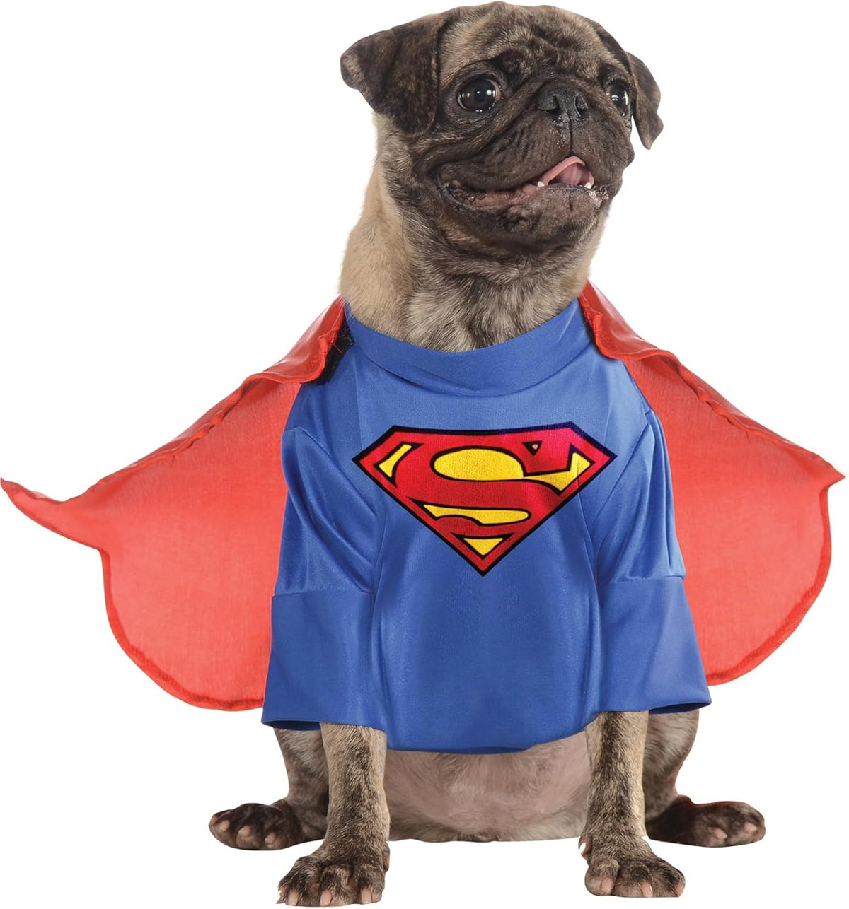 DC Comics Superheroes: Superman Pet Costume for For Dogs or Cats by Rubies, Medium