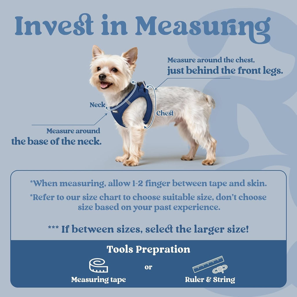 rabbitgoo Step-in Small Dog Harness, Puppy Vest for Small Sized Pet