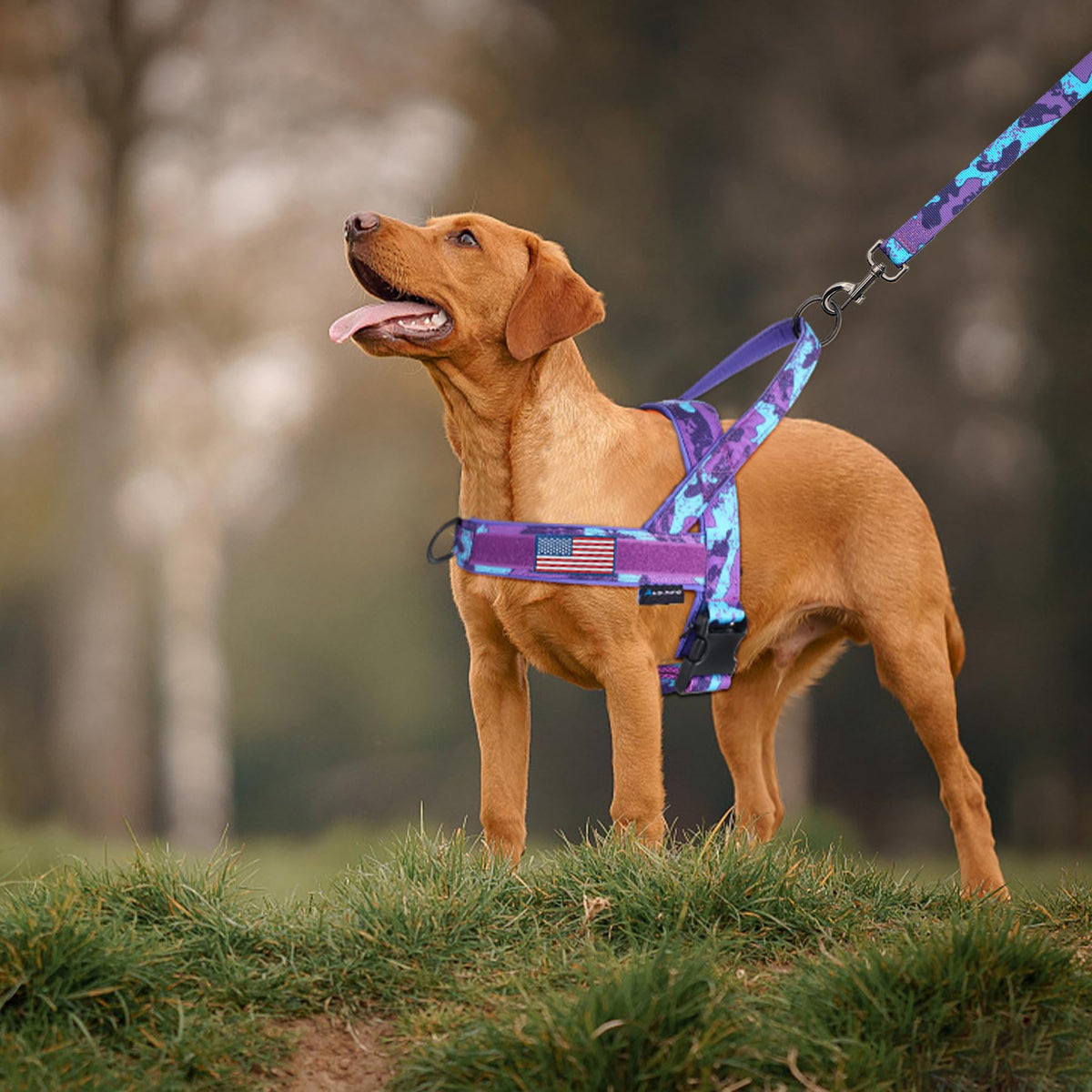 Annchwool No Pull Dog Harness with Padded Handle&Front Clip(CamoPurple,L)