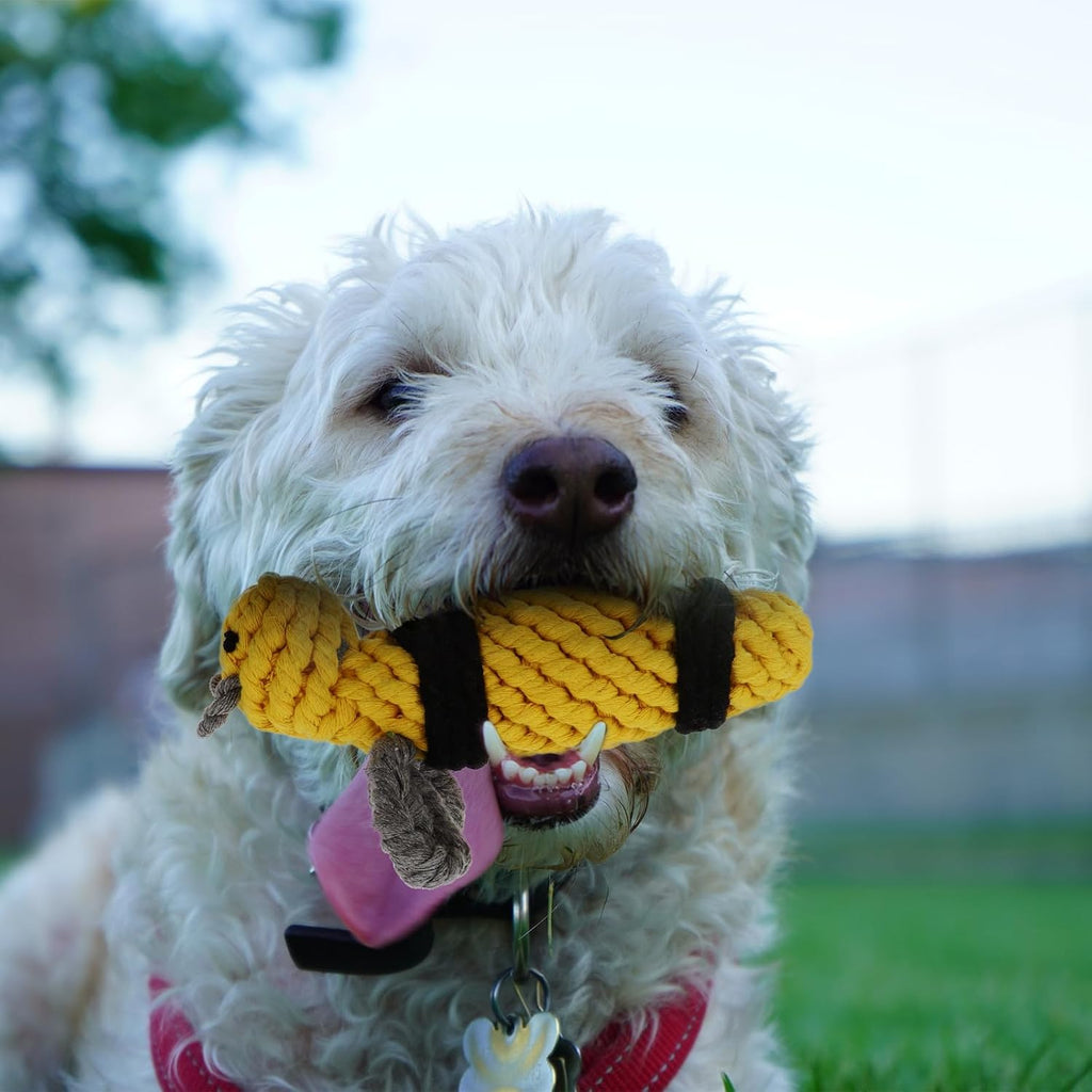 Bee Cotton Rope Dog Chew for Indoor Play and Training at Home