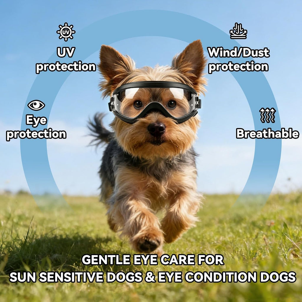 Dog Goggles Small Breed Windproof Anti-Fog Dog Sunglasses Clear View Dog Glasses for Walks/Car Rides/Motorcycle Riding/B