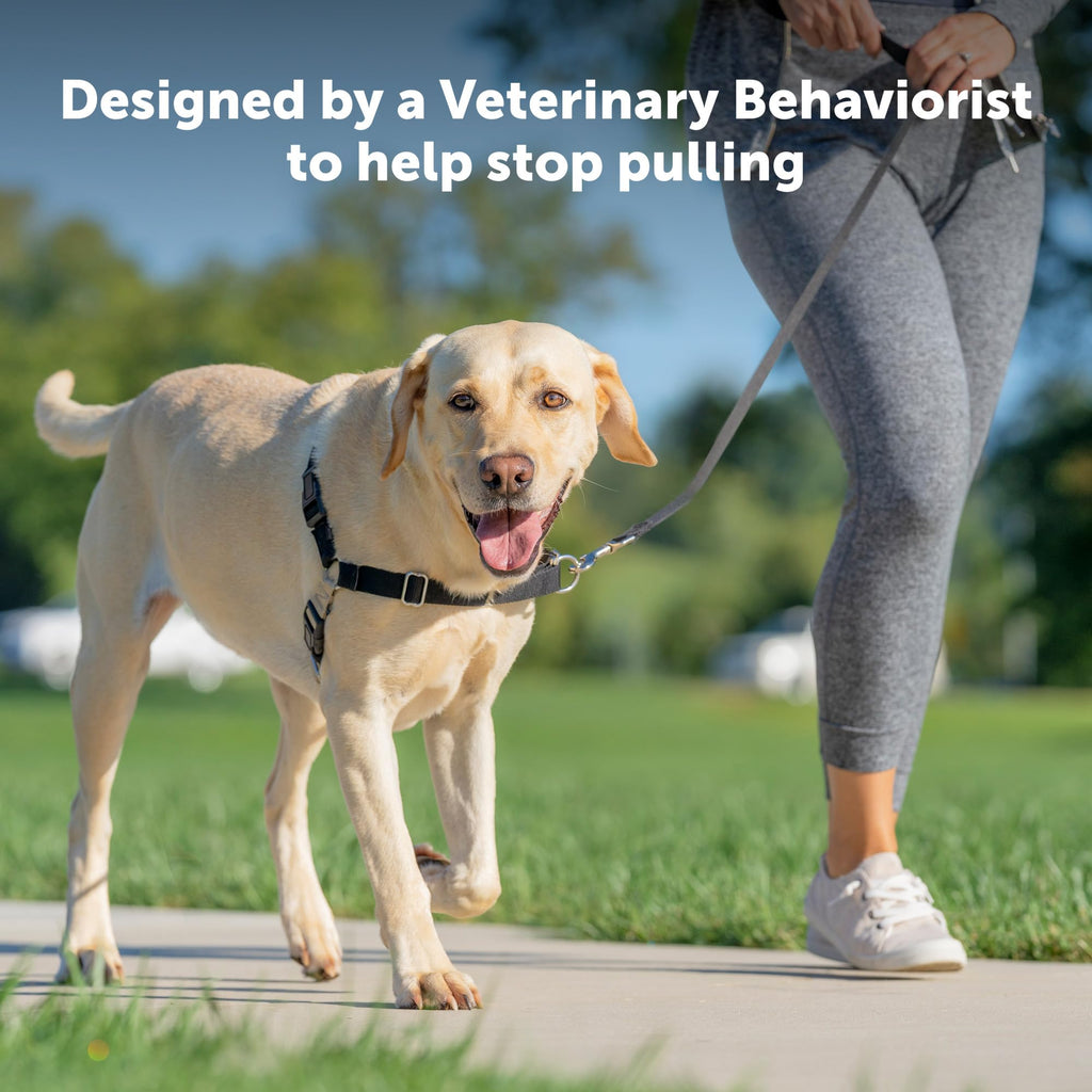 PetSafe Easy Walk Harness, No Pull Dog Harness, Black, Medium