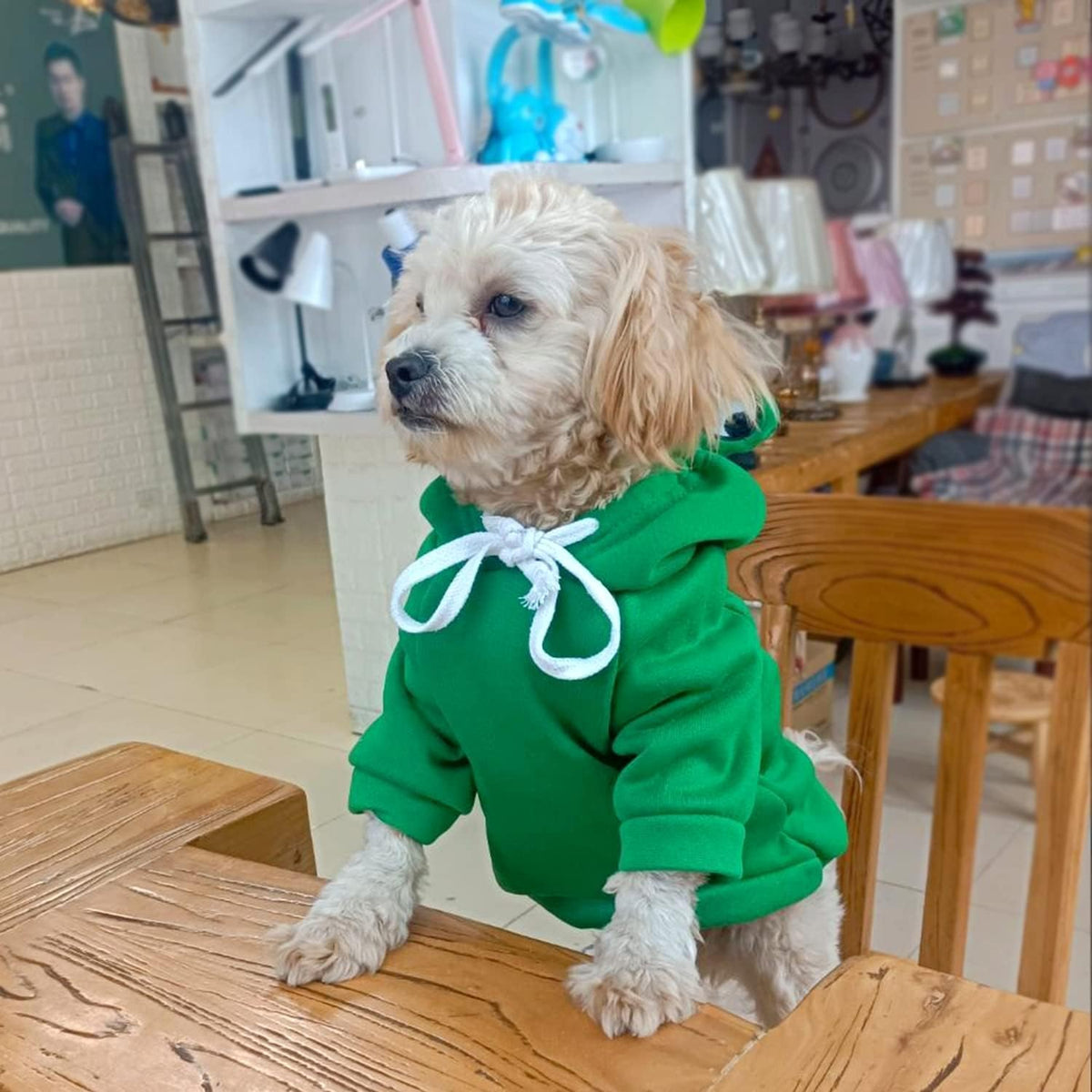 Dog Hoodie Basic Sweater Coat Cute - Frog Shape Warm Jacket Pet Cold Weather Clothes Outfit Outerwear for Cats Puppy Sma