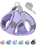 Petank Dog Harness for Small Medium Dogs No Pull, Puppy Harness and Leash Set, Step in Dog Harness for Walking, Running, Training, Small Dog Vest(Purple, S)