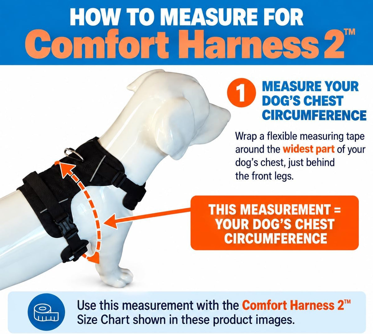 FullStride Dog Exercise Leash System for Walking, Jogging and Running (FullStride M/Harness L)