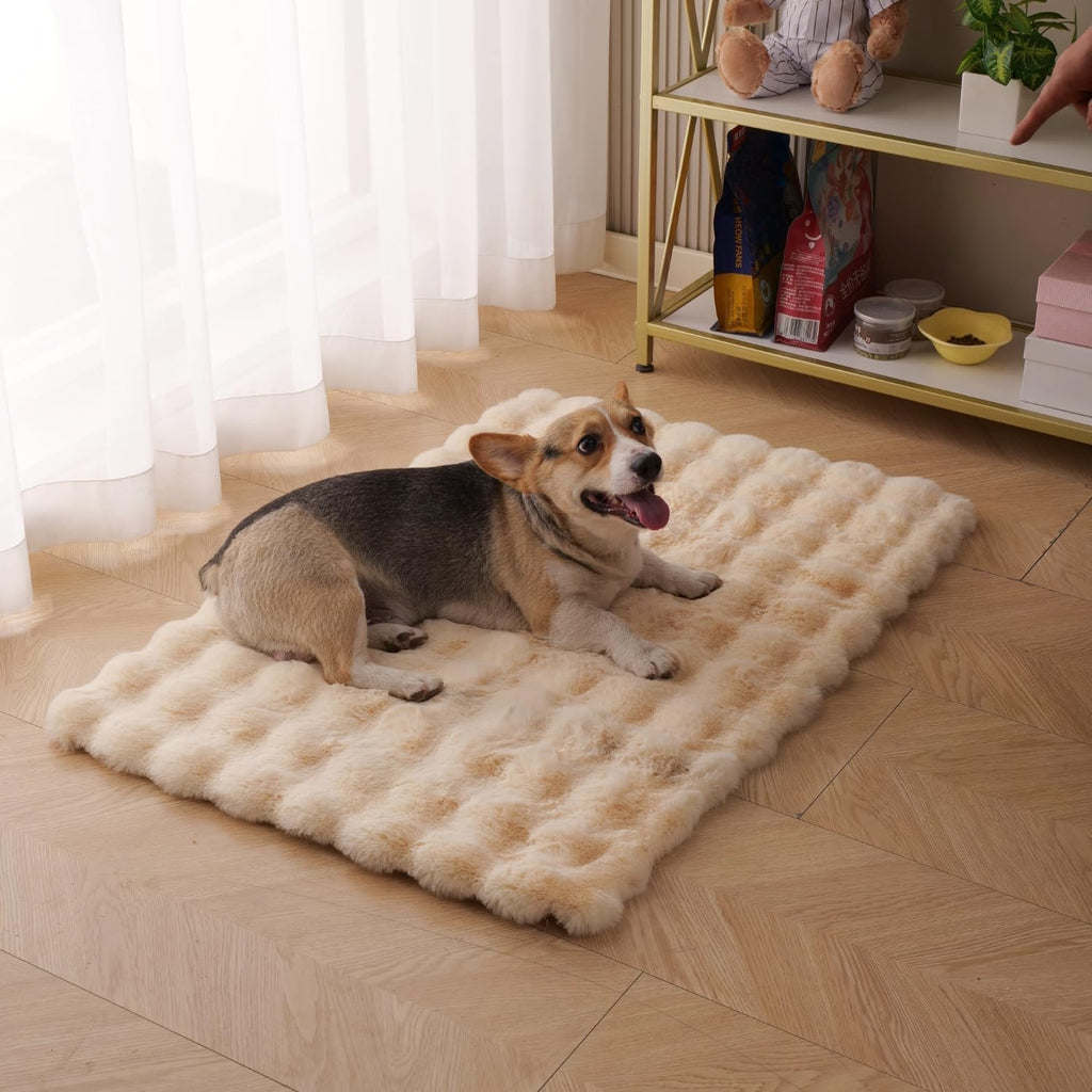 SHENGOCASE 2-Pack 10"x14" Rectangular Faux Rabbit Fur Cat Dog Bed Cushion Pad Mat, Cat Tree Tower Replacement Cushion Pa