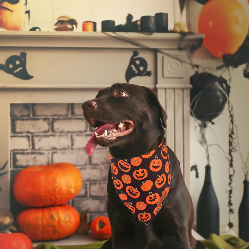 Halloween Dog Bandanas, Reversible Bat Pumpkin Dog Scarf, X-Large