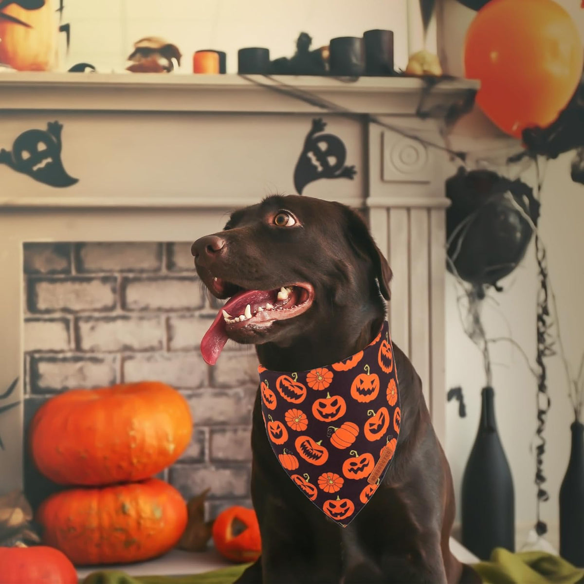 Halloween Dog Bandanas, Reversible Bat Pumpkin Dog Scarf, X-Large