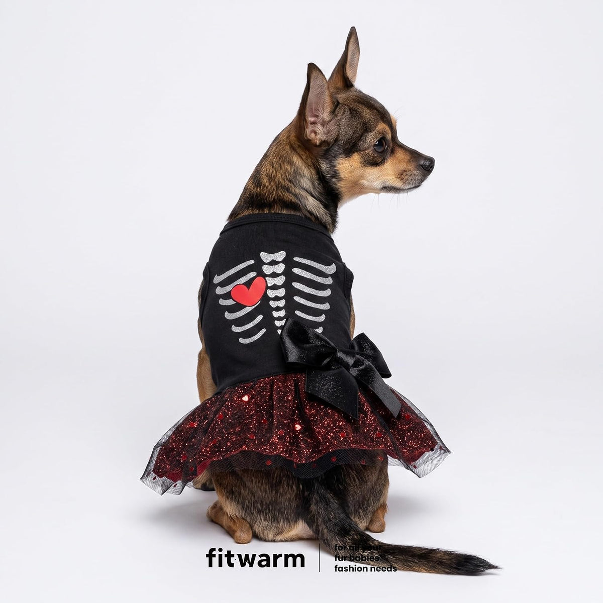 Fitwarm Halloween Skeleton Dog Dress, Funny Dog Halloween Costumes, Doggy Clothes for Small Dogs Girl, Pet Apparel, Blac