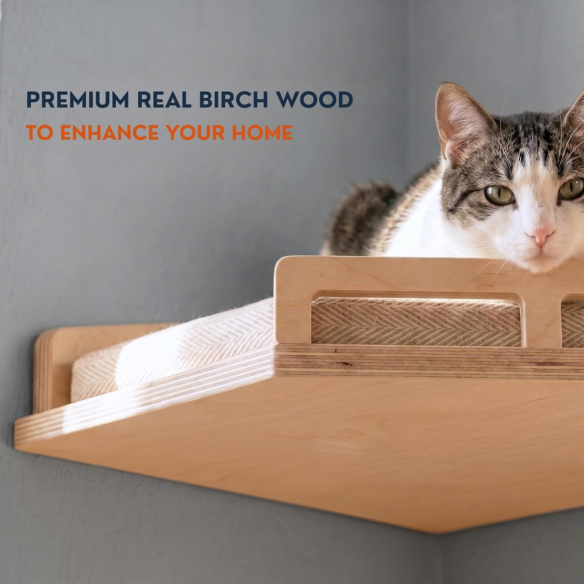 INICIO Cat Wall Shelves and Steps, 4-Piece Wooden Cat Wall Furniture Set