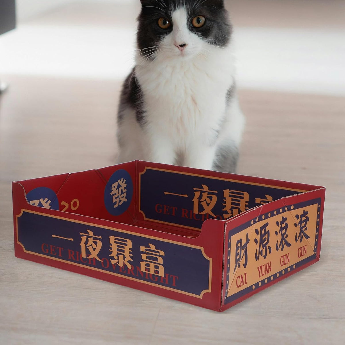 Portable Corrugated Paper Cat Litter Box Open Top Foldable Travel Tray