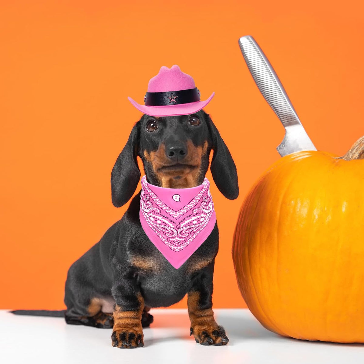 Fumwase Pet Cowboy Costume Hats with Bandana, Pink Hat + Pink, Small